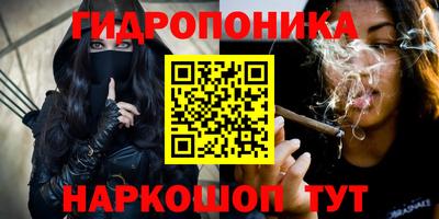 spice Пенза