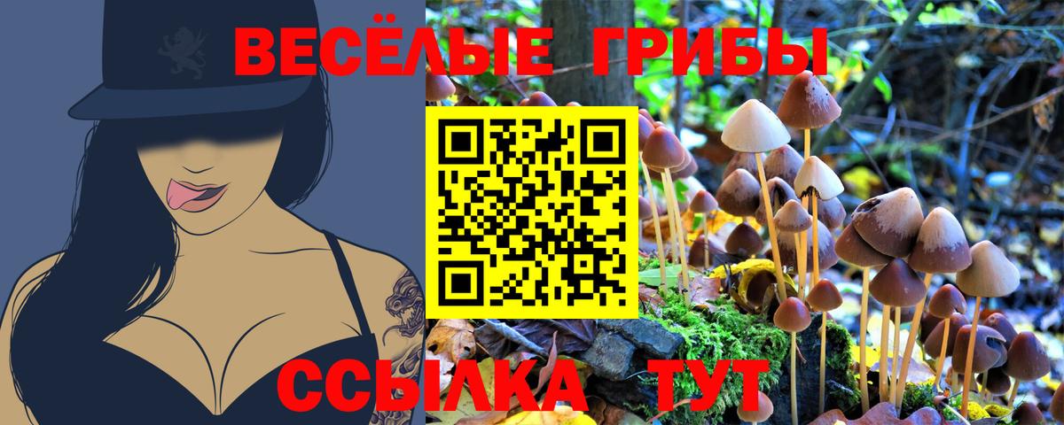 Галлюциногенные грибы мицелий Сокол