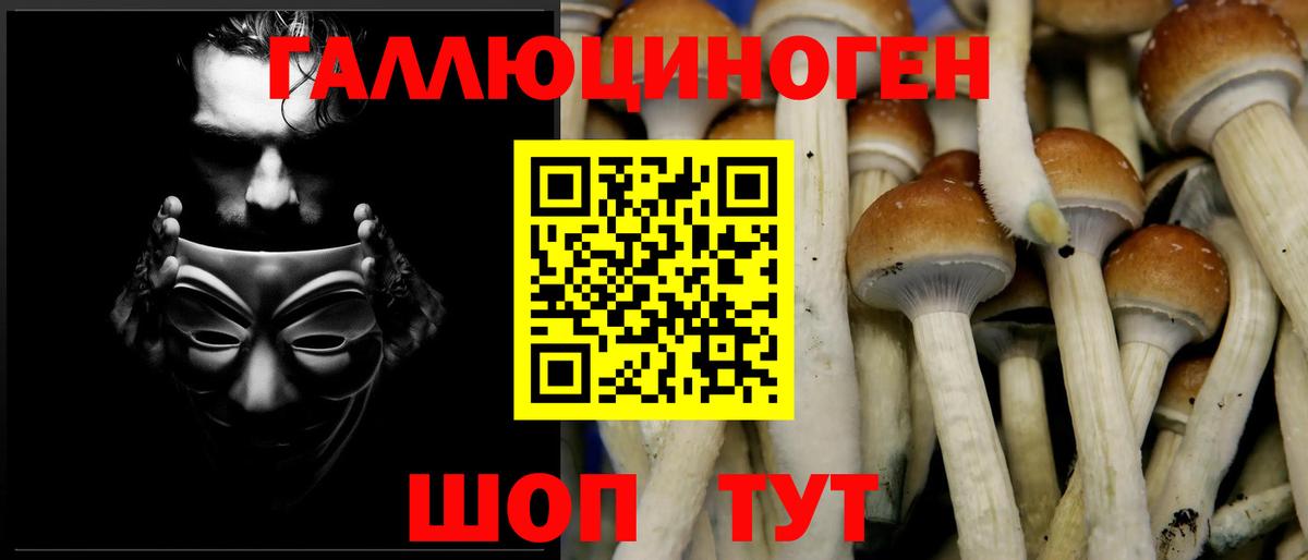 Галлюциногенные грибы прущие грибы  Вход с VPN  Сокол 